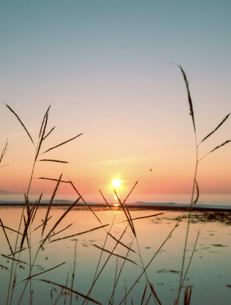 The Dementia Stigma: Why it exists and how you can help lift it.